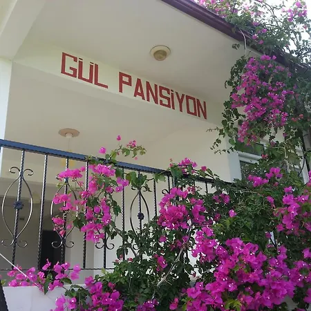 Gul
