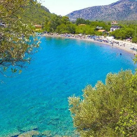Gul * ميسوديه