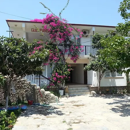 Gul ميسوديه